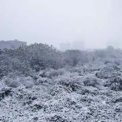 下雪啦