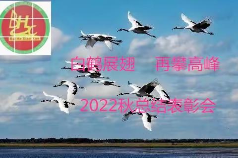 白鹤展翅 再攀高峰——记大岗镇白鹤教学点2022秋季教学工作总结表彰会