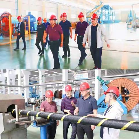 电力大咖来了！华能集团领导莅临海缆公司调研指导