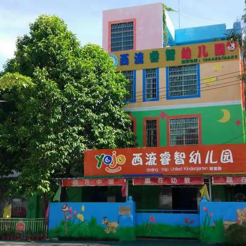 特殊假期，别样风采──睿智幼儿园开展“停课不停学，停课不停成长”活动