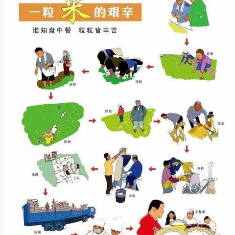 宣和中心幼儿园大二班“爱惜粮食”主题活动