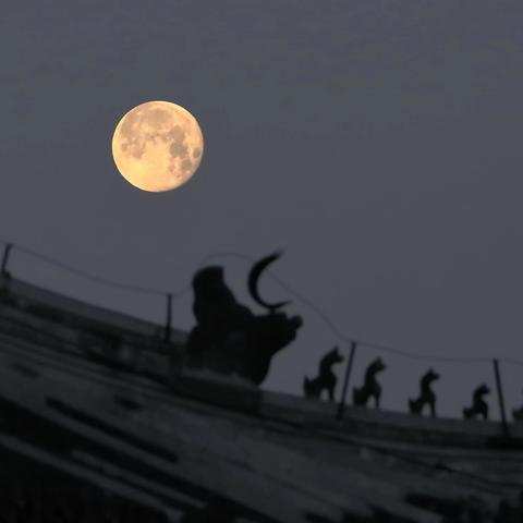 送别蛇年圆月