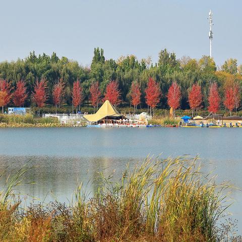 秋游温榆河