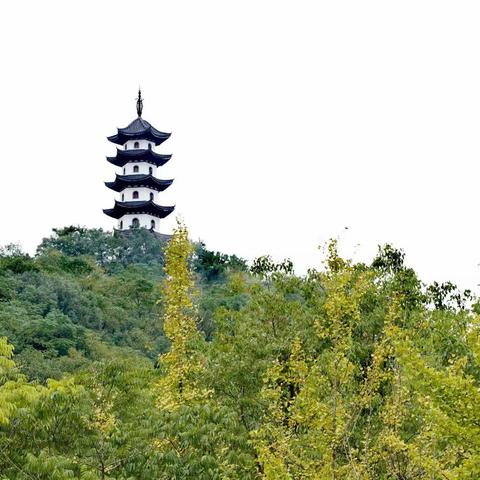 秋游丽水（一）