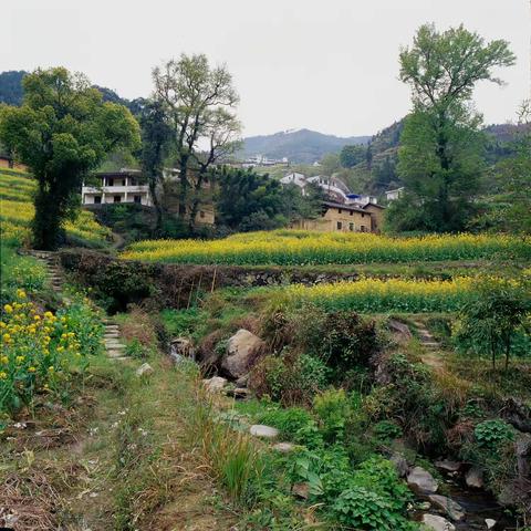 人生是条河，深浅都要过