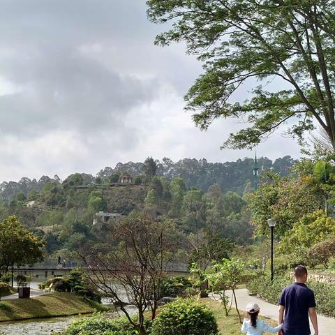 那些花儿-年后的东莞植物园