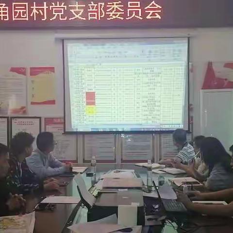龙桥镇三角园村召开党支部委员会议