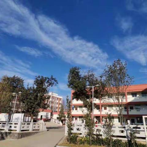 百舸争流  百花齐放               砚山县特殊教育学校党支部组织全体教师   开展“区域活动课”汇报交流活动