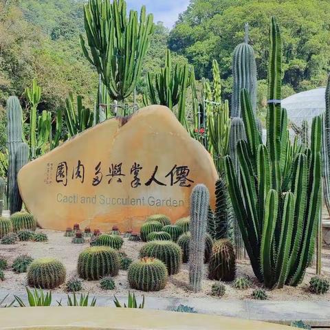 仙湖植物园游记