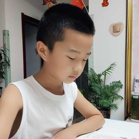 🌴东盛小学🌴二年一班 陈颢允第71期【家庭读书会】