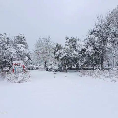 最美的雪景，最暖的人心