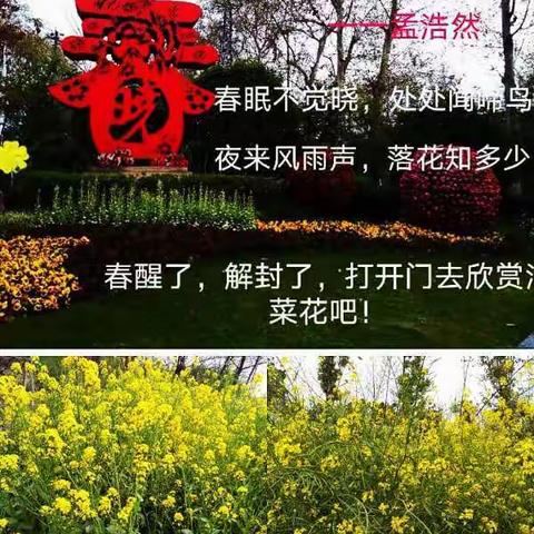 变电退休职工都是“油菜花”（有才华）网络才艺展示活动1