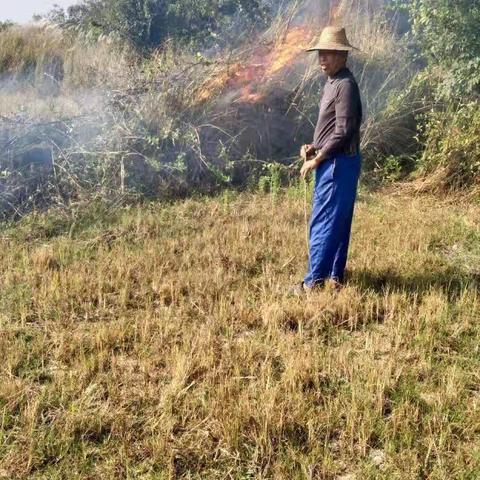 农业综合执法支队在全市范围内加大巡查秸秆焚烧力度