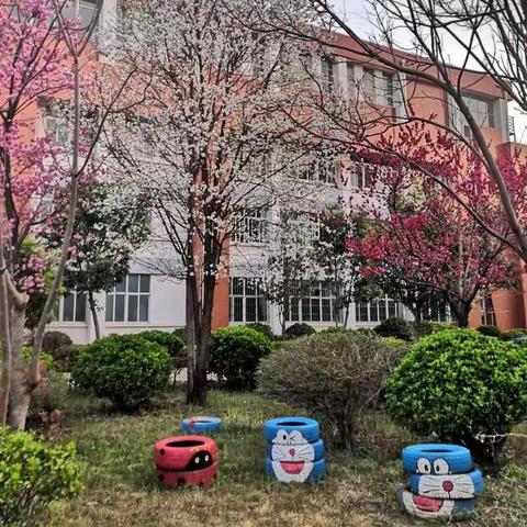 同心抗疫，静待花开—本纳克小学师生核酸检测筛查工作简讯