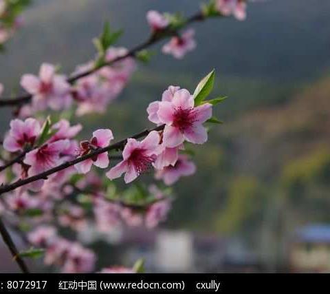 家访零距离，师爱育桃李——姜庄街小学一年级数学组