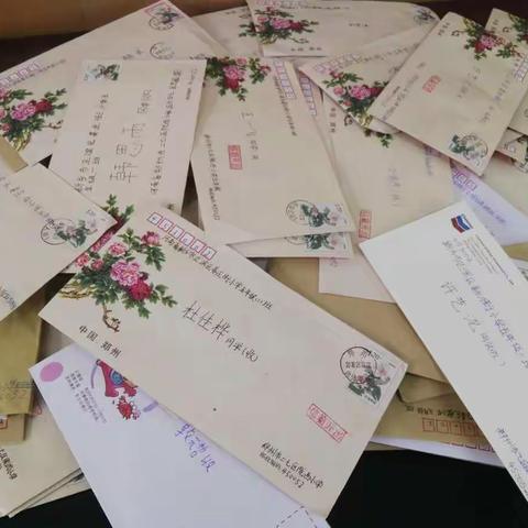 “信”鸽架起友谊的小桥！