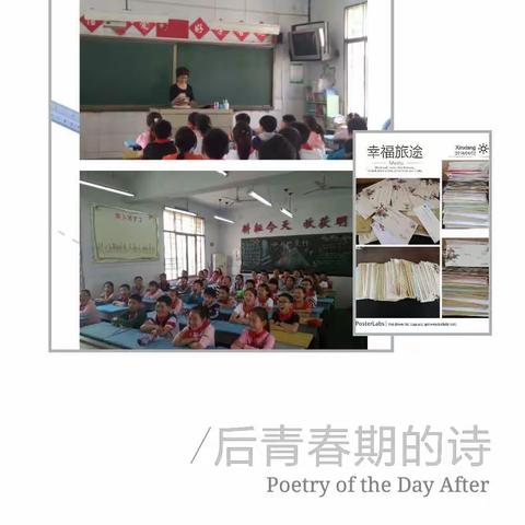 “信”鸽架起友谊的小桥