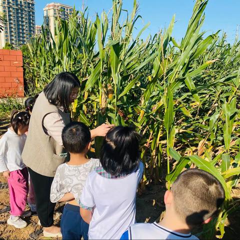 秋日的野趣/户外初秋🍃体验课把课堂搬到户外🌟享受自然小时光⏰自然是🌷🌻感知世界、认识世界💞