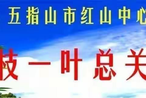 五指山市红山中心幼儿园2022年秋季学期寒假前校园卫生消杀工作简报