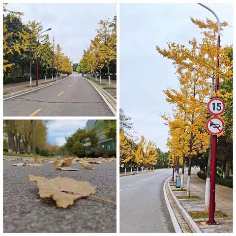 昆明学院教师教育学院2020级小学教育（2）班“网络写作”练笔之“遇见”（2020年9月22日—2020年11月29日）