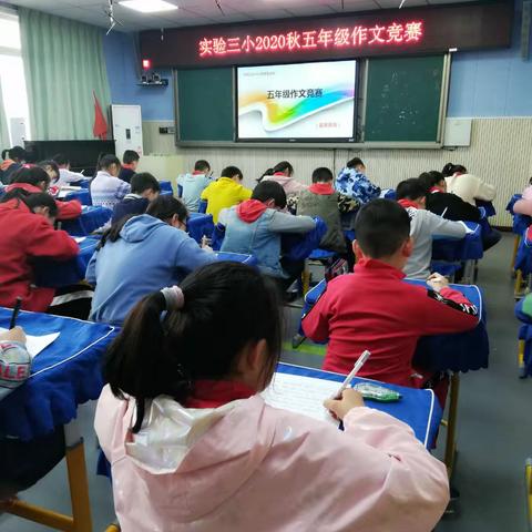 笔尖轻舞飞扬，纸间落英缤纷