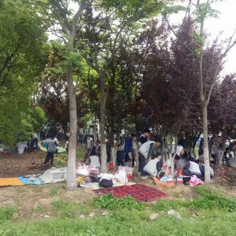 武中野炊开灶了，恰，走一个