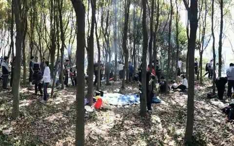 四月的春风 是一缕缕炊烟