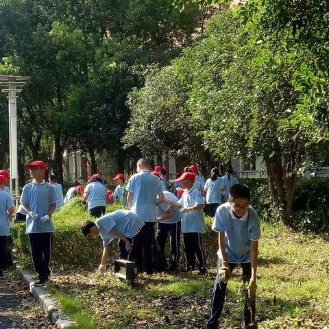 劳动彰显学子风采 拔草除杂美化校园