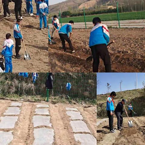 “我劳动，我快乐”—劳动教育简报