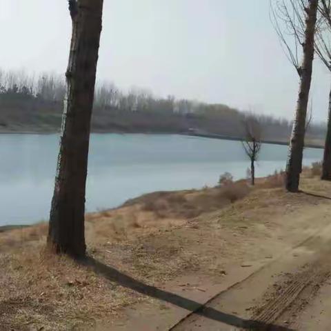 春意盎然正当时，绿化脚步不停滞，欢迎走进美丽的东留村