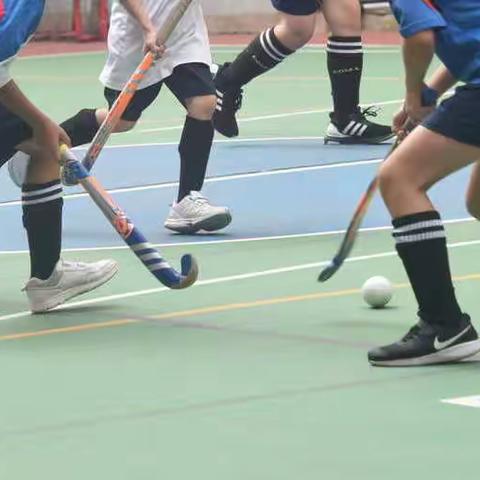 菁苗盃聯賽開鑼