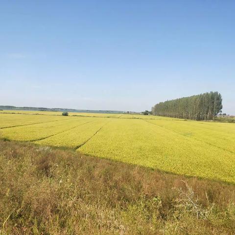 心旅––––户外群徒步野餐纪实