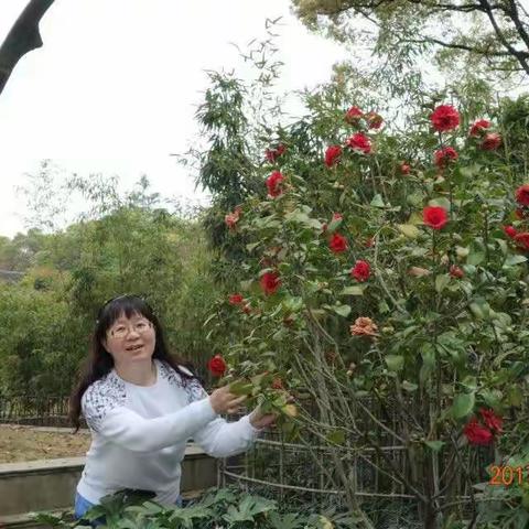 张姗姗诗词（植物)