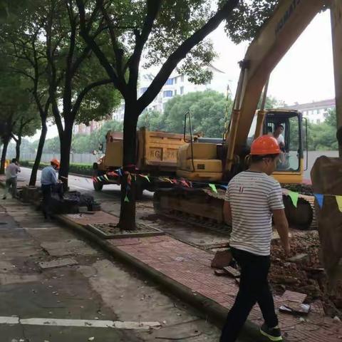 宾虹路优化工作工程建设一日报