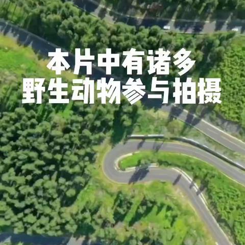 泰宁之旅——总述篇