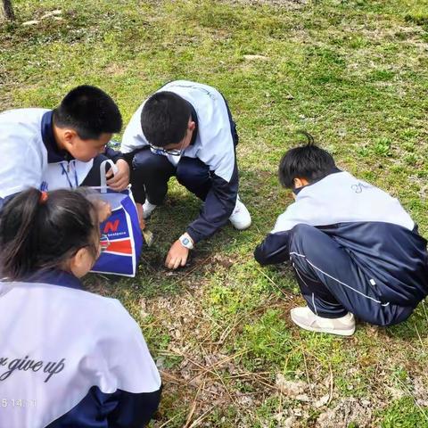 本溪县第四中学---“挖野菜”劳动实践课