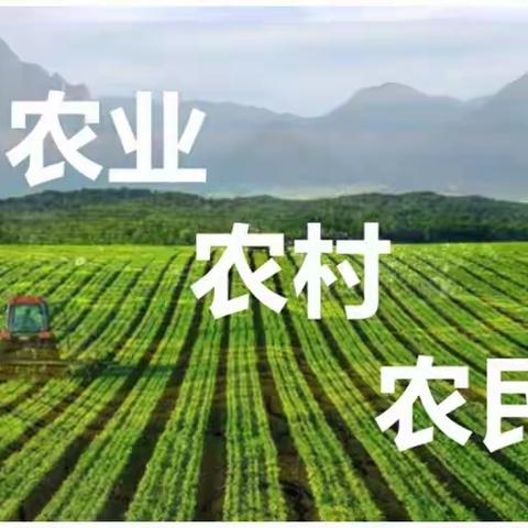 学习2023年中央一号文件