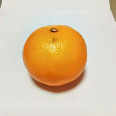 一起来认识橘子的结构吧！                               2215班 胡馨恬