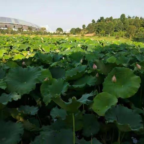 我们历经千帆，归来仍是少年