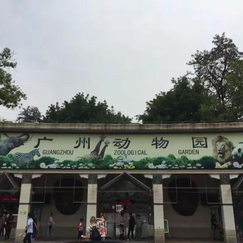 游广州动物园