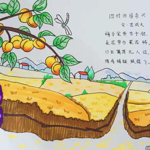 童心巧手诗配画    传承书香芳自远——商洛市小学四（7）班“诗画卡”优秀作业展