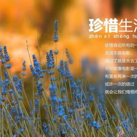 【树德外国语】三年级语文公开课