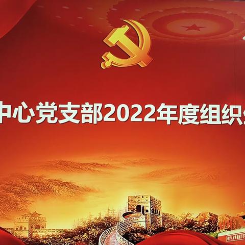 对账中心党支部召开2022年度组织生活会