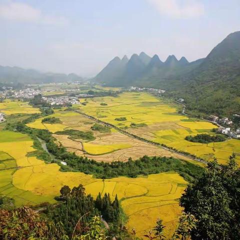 桂花香里的慢“拾”光——黔西南州分行