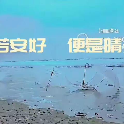 你若安好 便是晴天