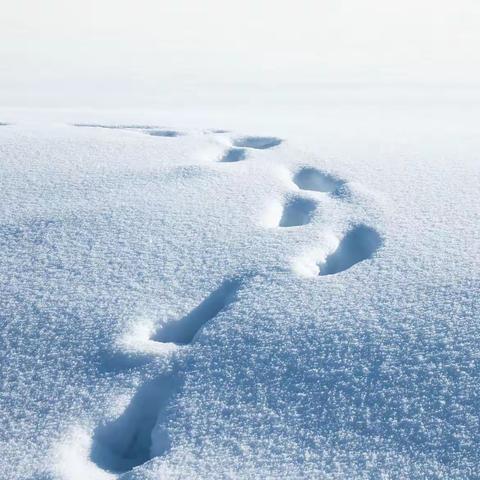 冰雪世界   ~~ 行走在北疆