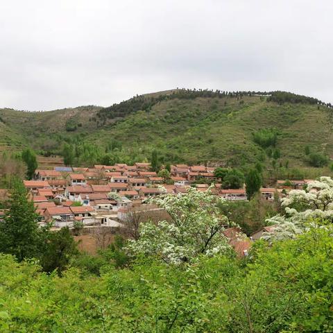 去南博山看流苏，逛五阳湖及西河马家庄生态园，——过母亲节