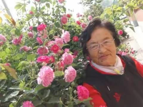 蔷薇花开了。送给我牵挂和牵挂我的人。2021.5.23.