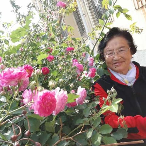 蔷薇情。2021.5.22.