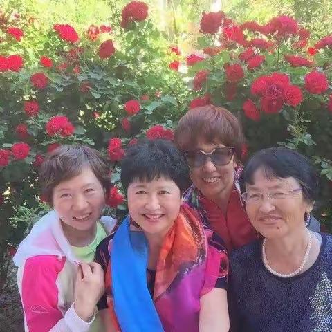 蔷薇花儿又开了！2021.5.23.